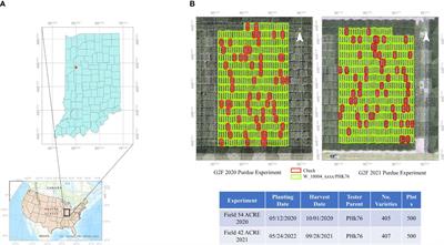 Integrating multi-modal remote sensing, deep learning, and attention mechanisms for yield prediction in plant breeding experiments